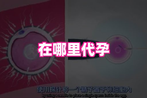 长沙助孕网站 1