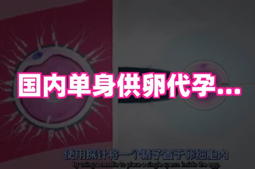 长沙助孕网站 2